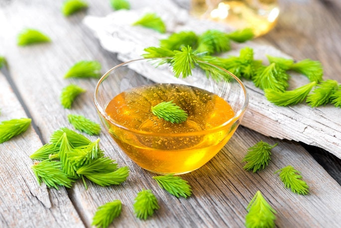 Alles über Fichtennadelöl