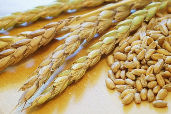 Alles über Dinkelspelze