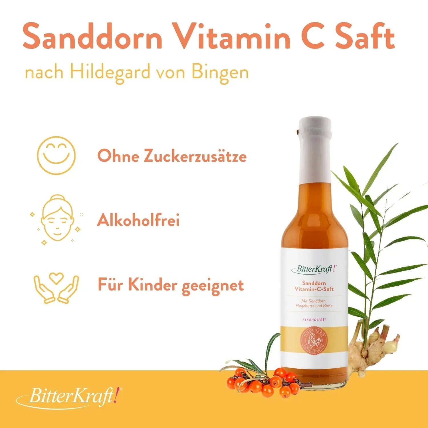 Sanddorn Vitamin-C-Saft (BIO) 350ml