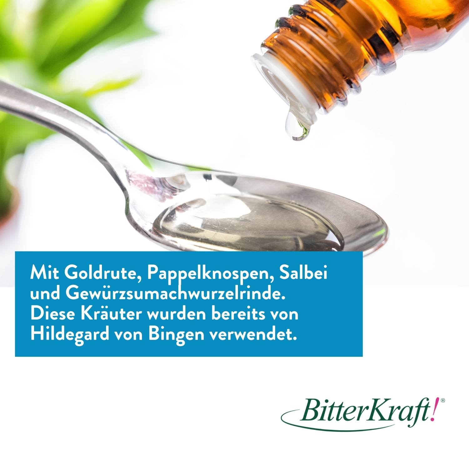 Dignatio! Blasenkraft 100ml