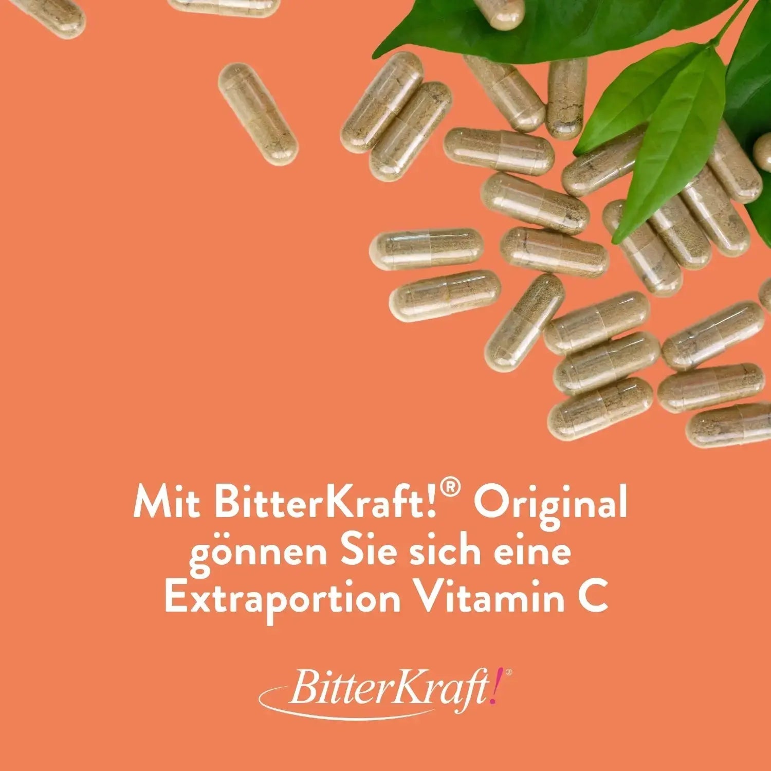 Bitterkraft! Vitamin C mit Hagebutten-Extrakt Bitterkraft GmbH - Bitterkraft