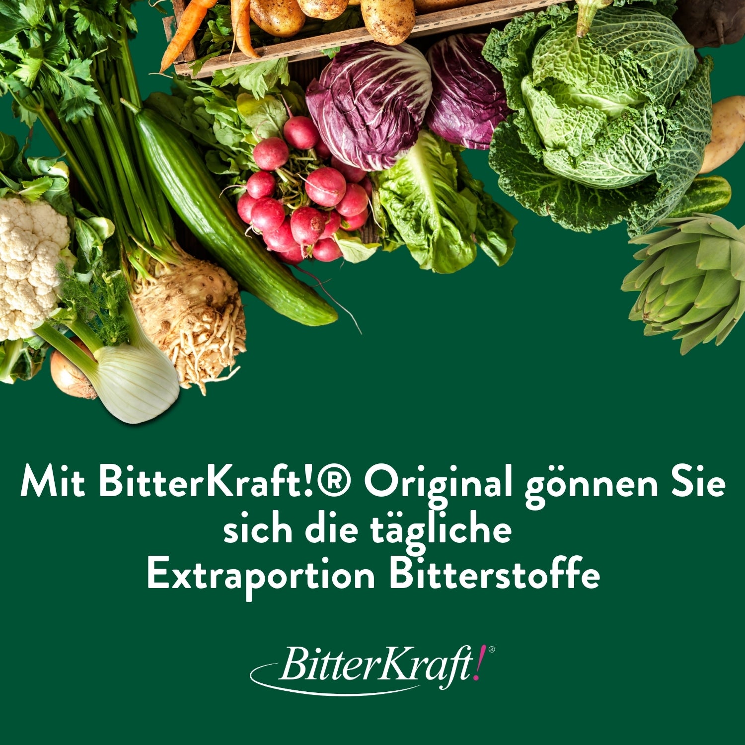 BitterKraft! Original Spray (BIO) 20ml (Geschenk)