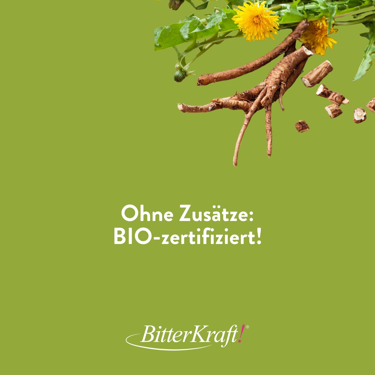 Basenkraft! Original (BIO)