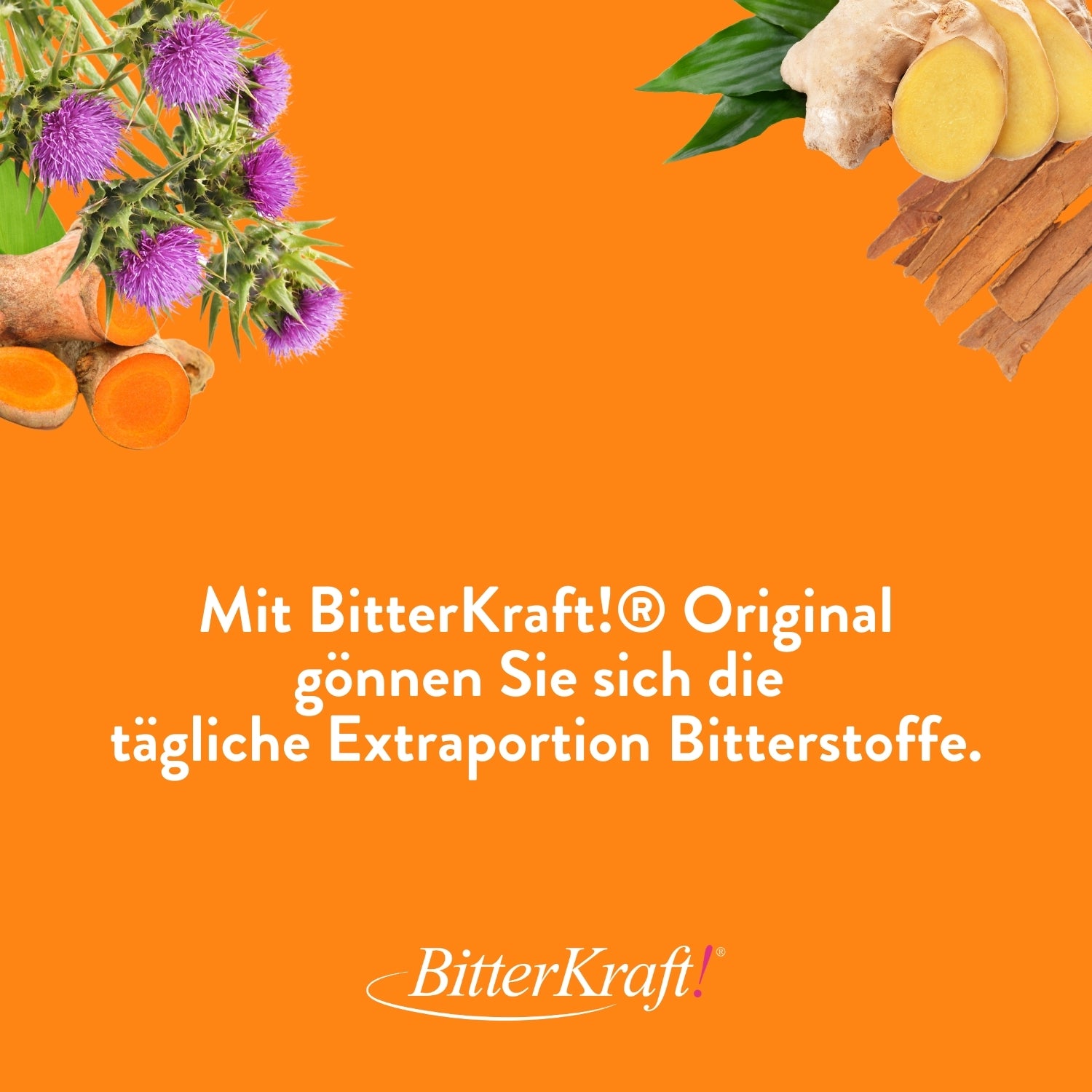 BitterKraft! Original Kurkuma Tropfen (BIO) 200ml