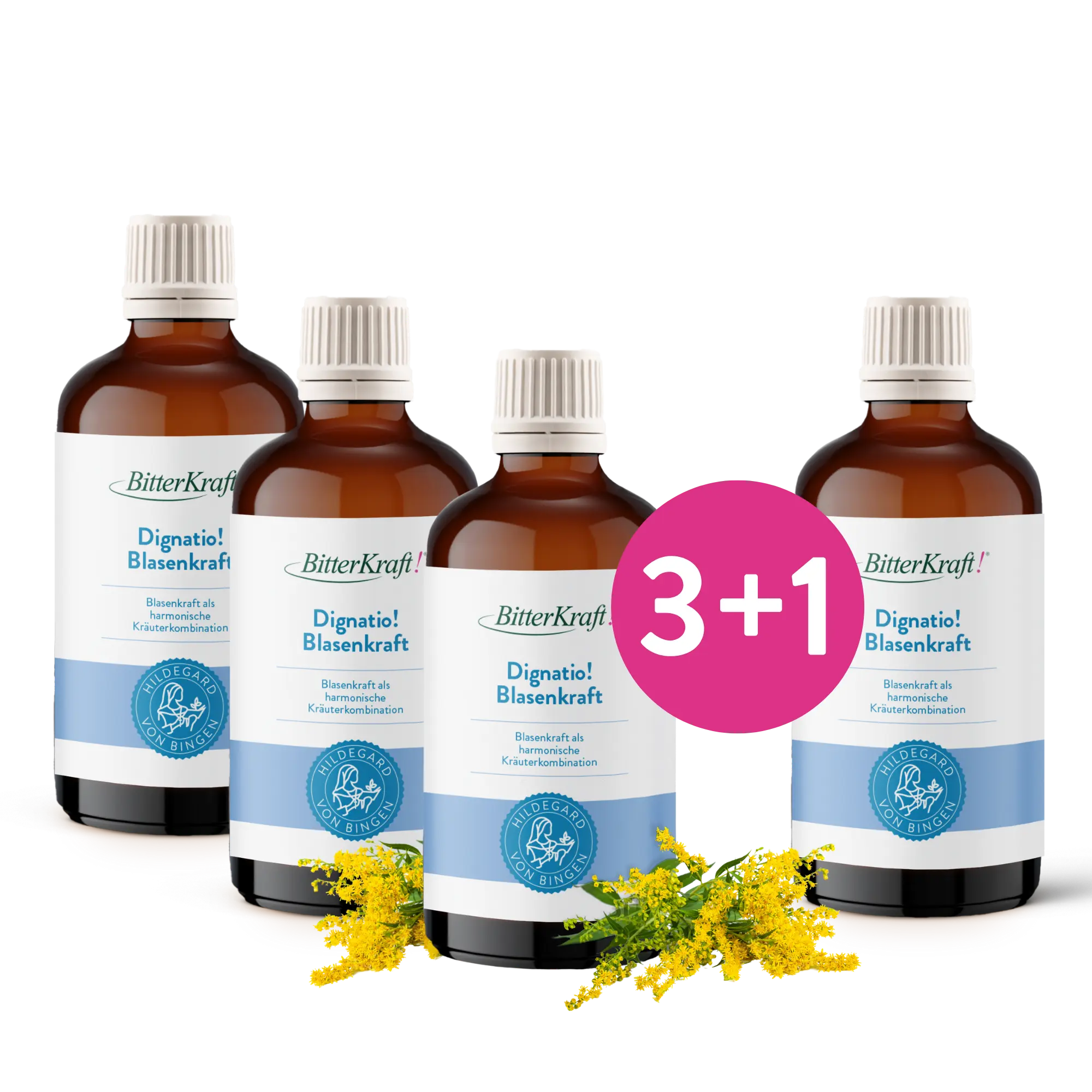 Dignatio! Blasenkraft 100ml