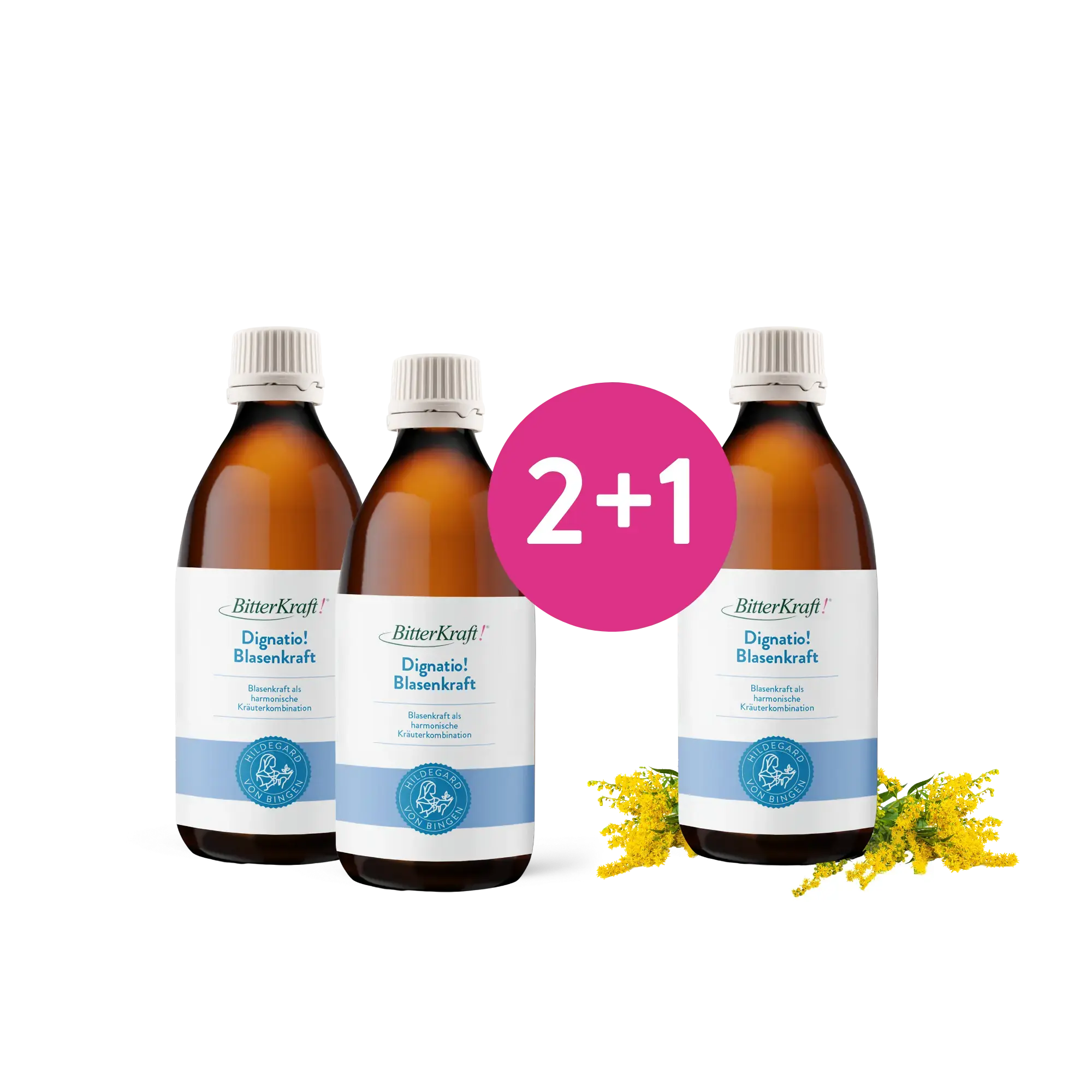 Dignatio! Blasenkraft 200ml Bitterkraft GmbH - Bitterkraft