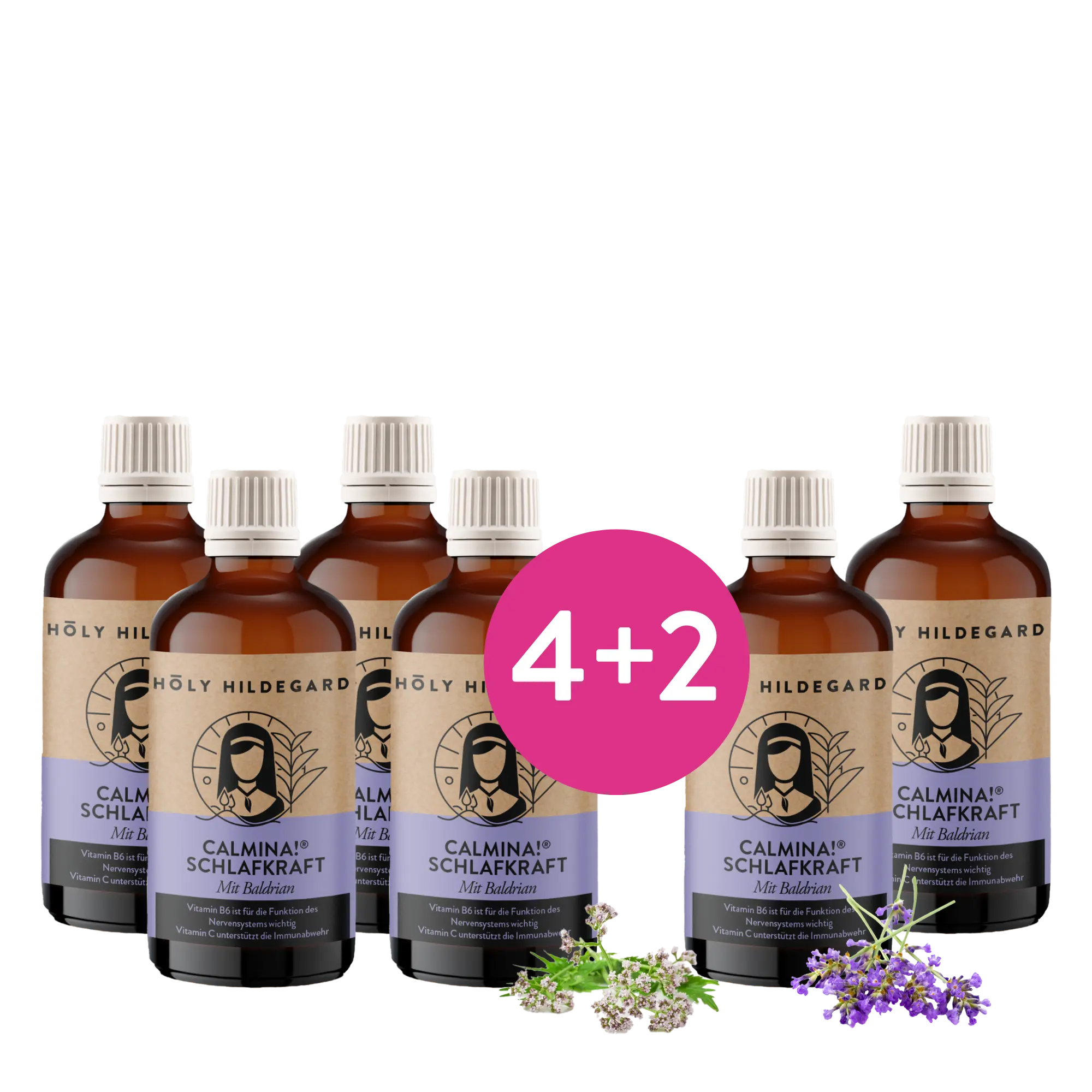 #variante_6x-Packungen