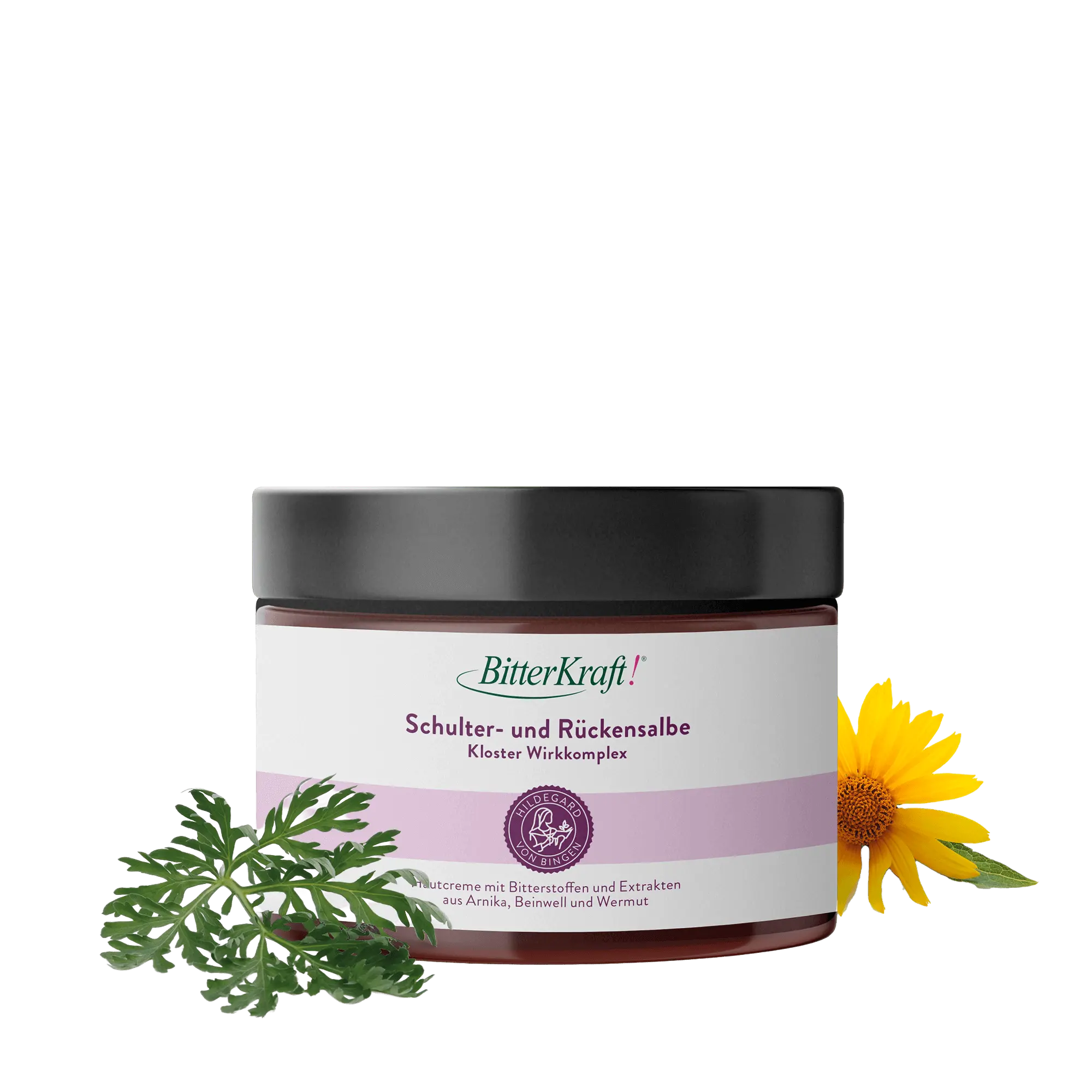 Schulter- und Rückensalbe Hildegard von Bingen