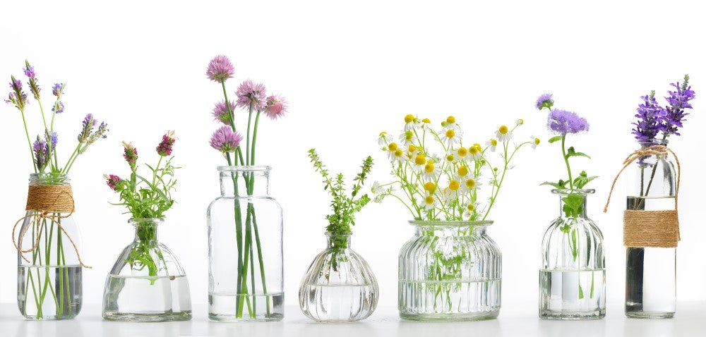 Herbes saines – Effets thérapeutiques et utilisation