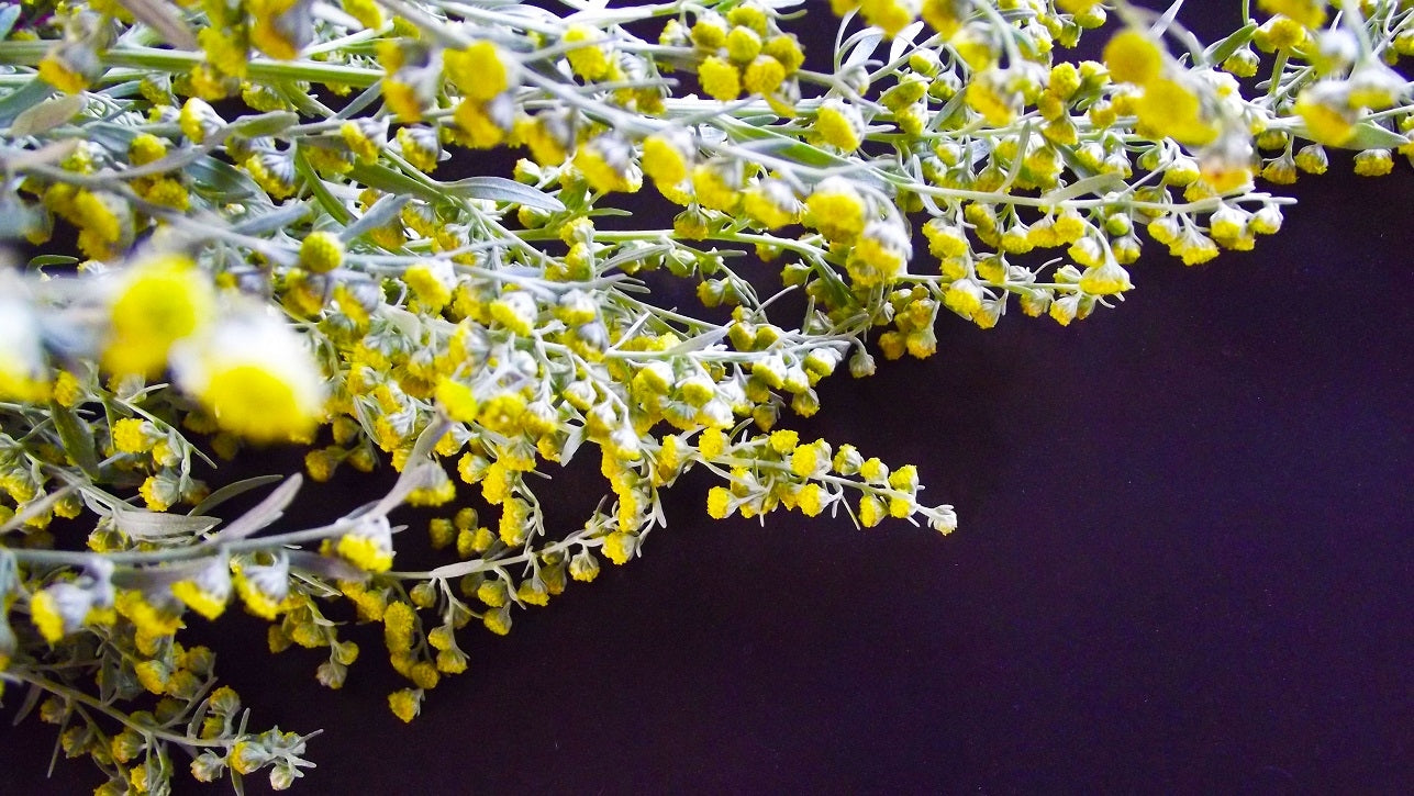 Amers aux herbes : effets, utilisation et posologie