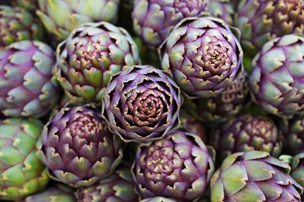 Carciofo