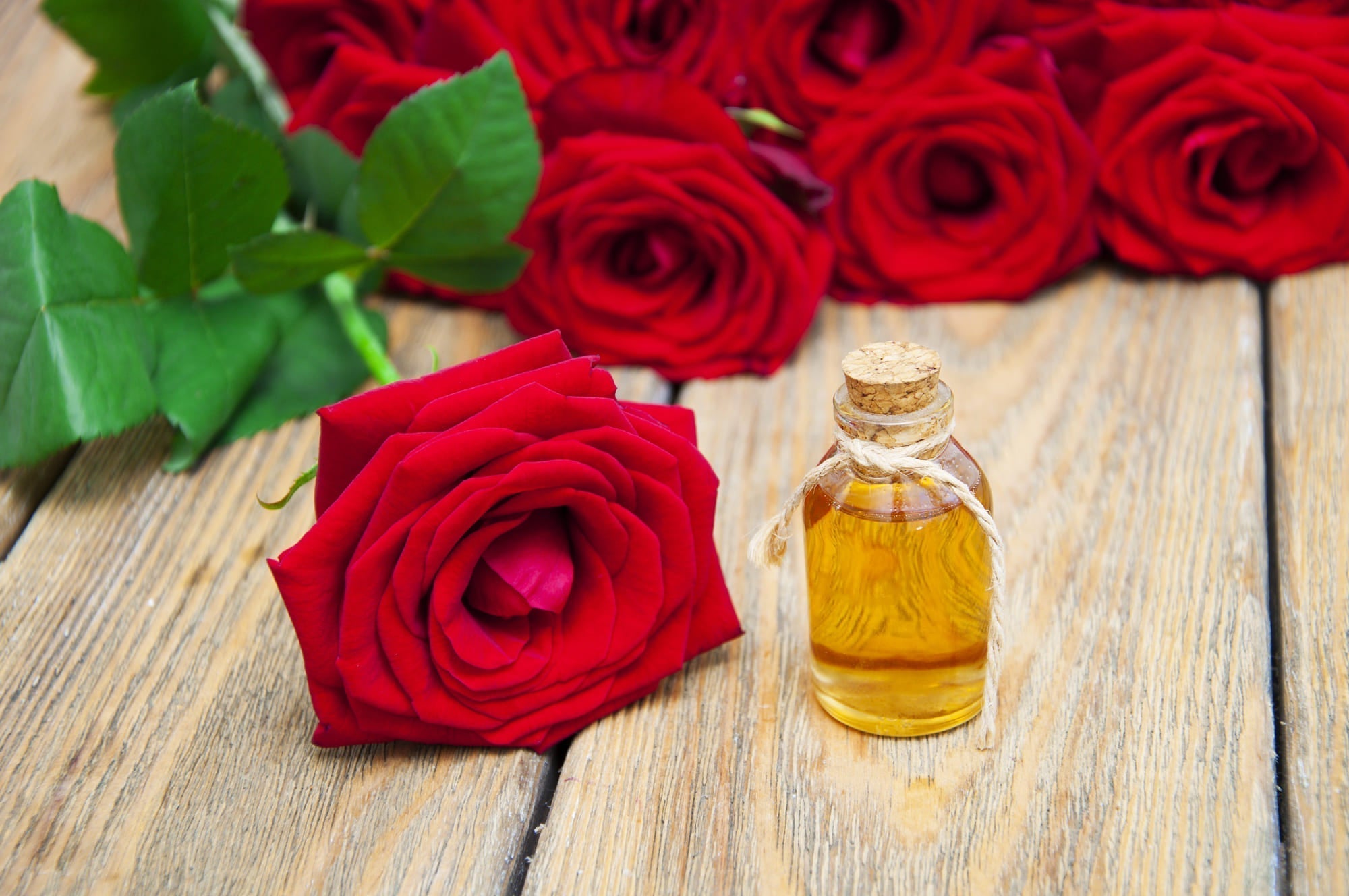 Olio di rosa