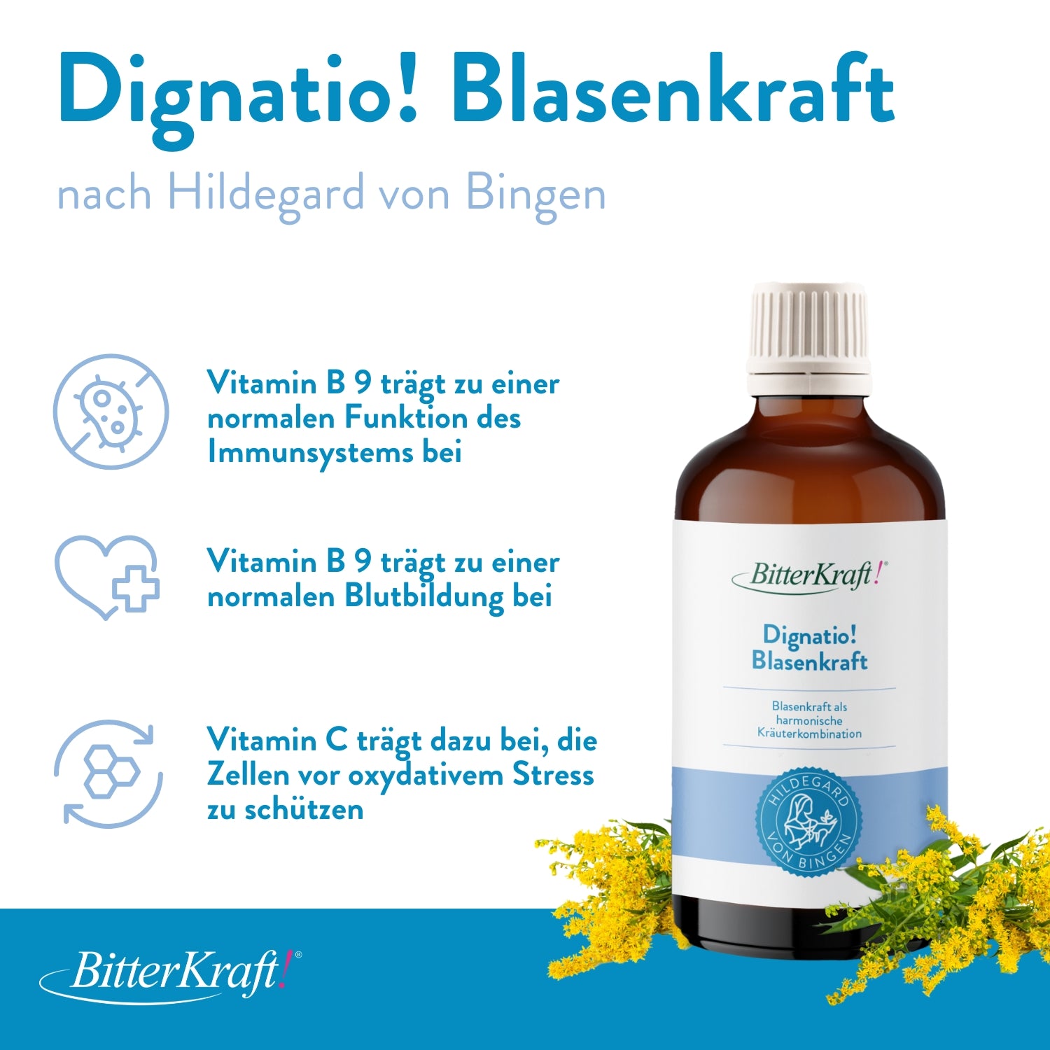 Dignatio Blasenkraft