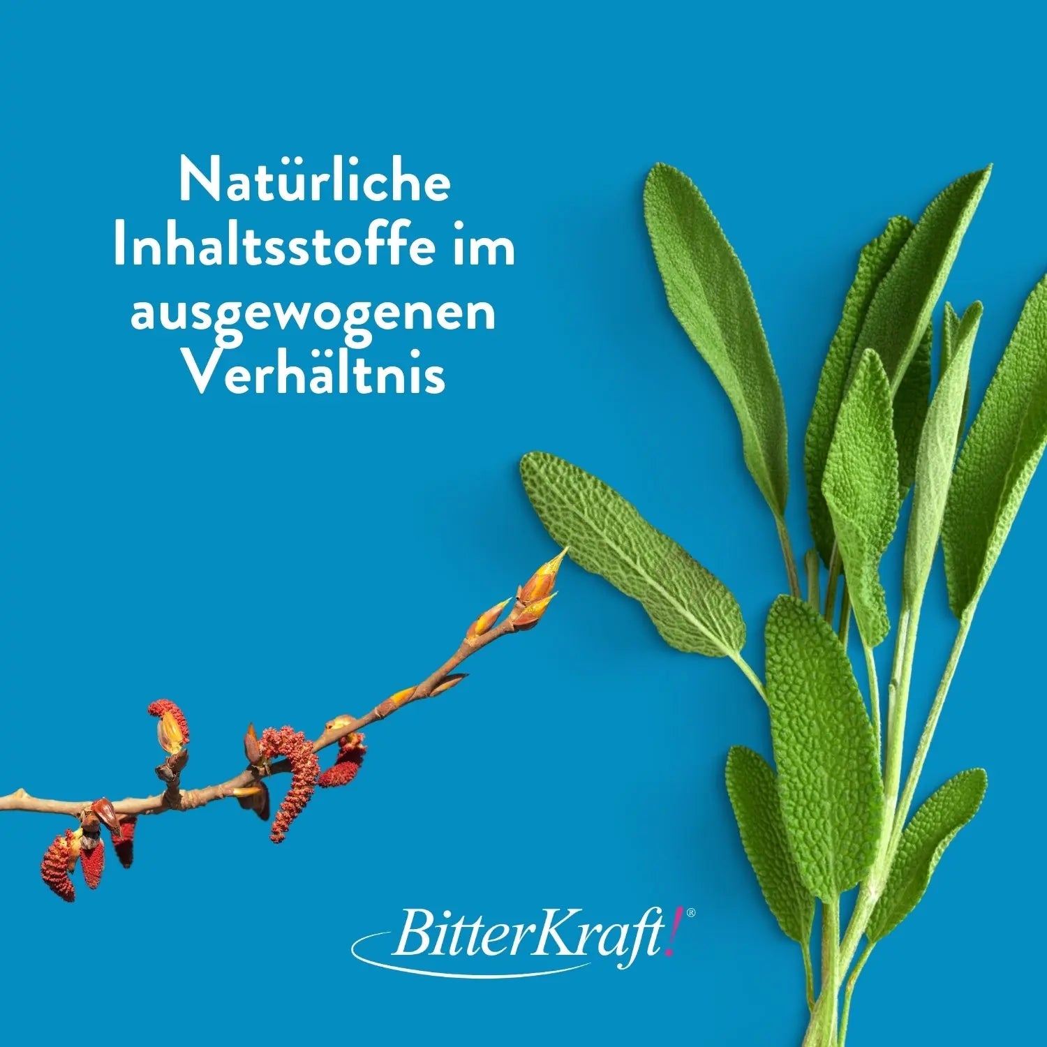 Dignatio! Blasenkraft 100ml