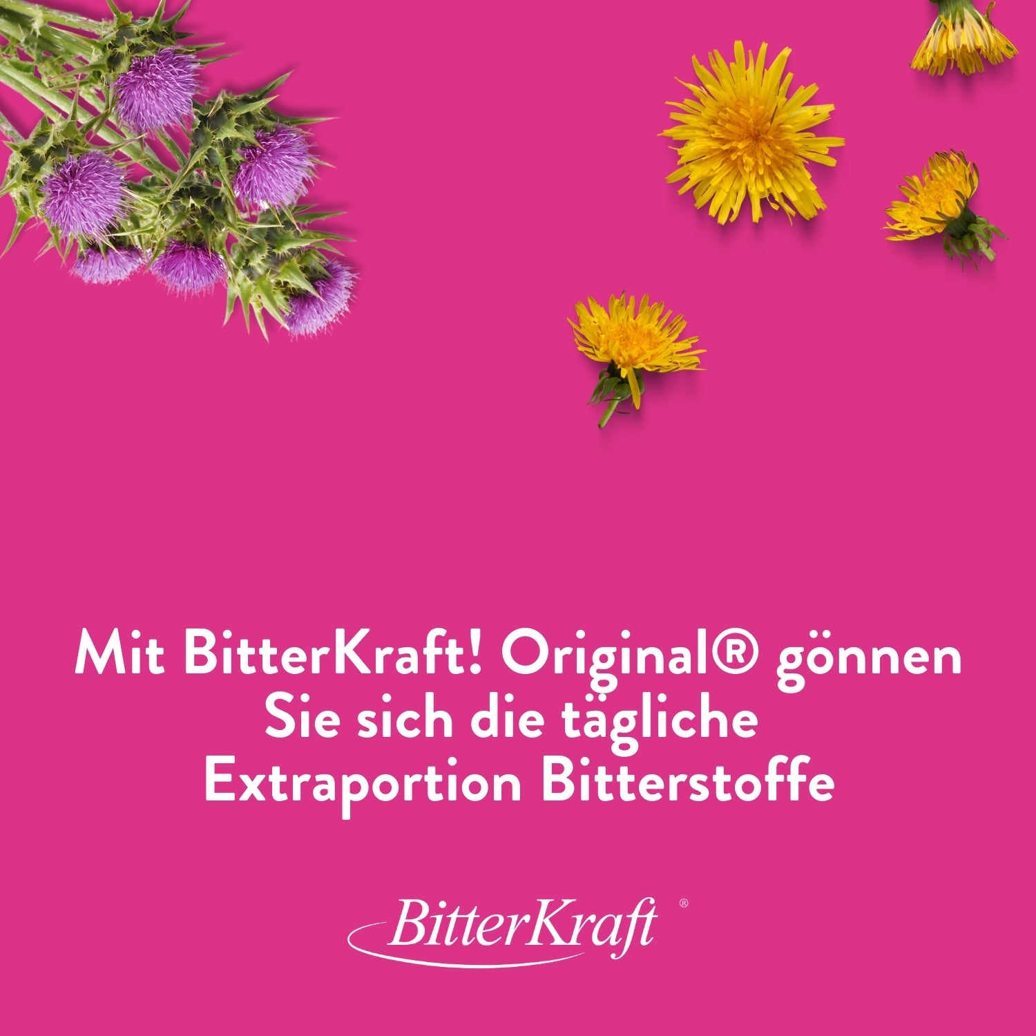 BitterKraft! Einfach-Unterwegs-Set Alkoholfrei 100ml + Gratis Spray (Bio)