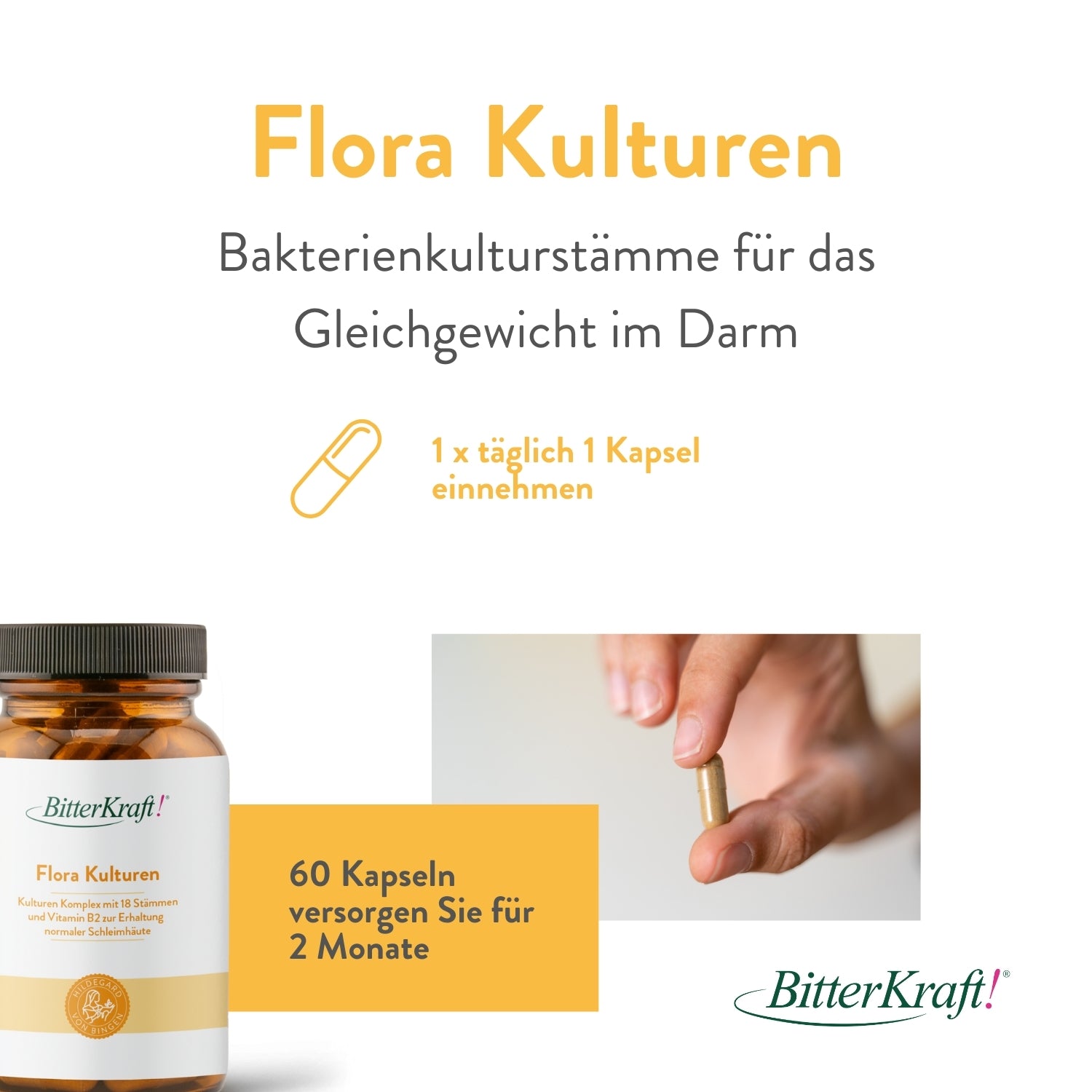 Flora Kulturen von Bitterkraft. Bakterienkulturstämme für das Gleichgewicht im Darm