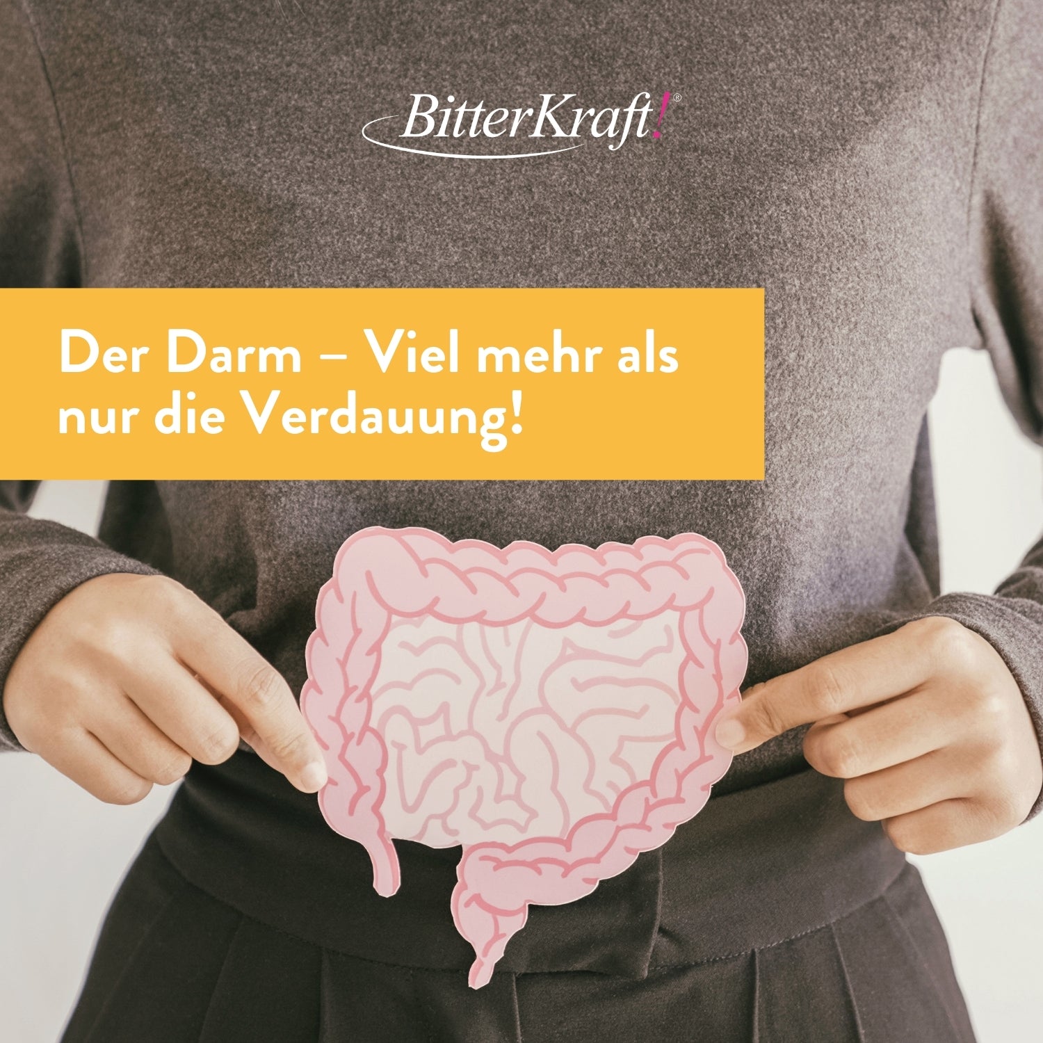 Der Darm - Viel mehr als nur die Verdauung.