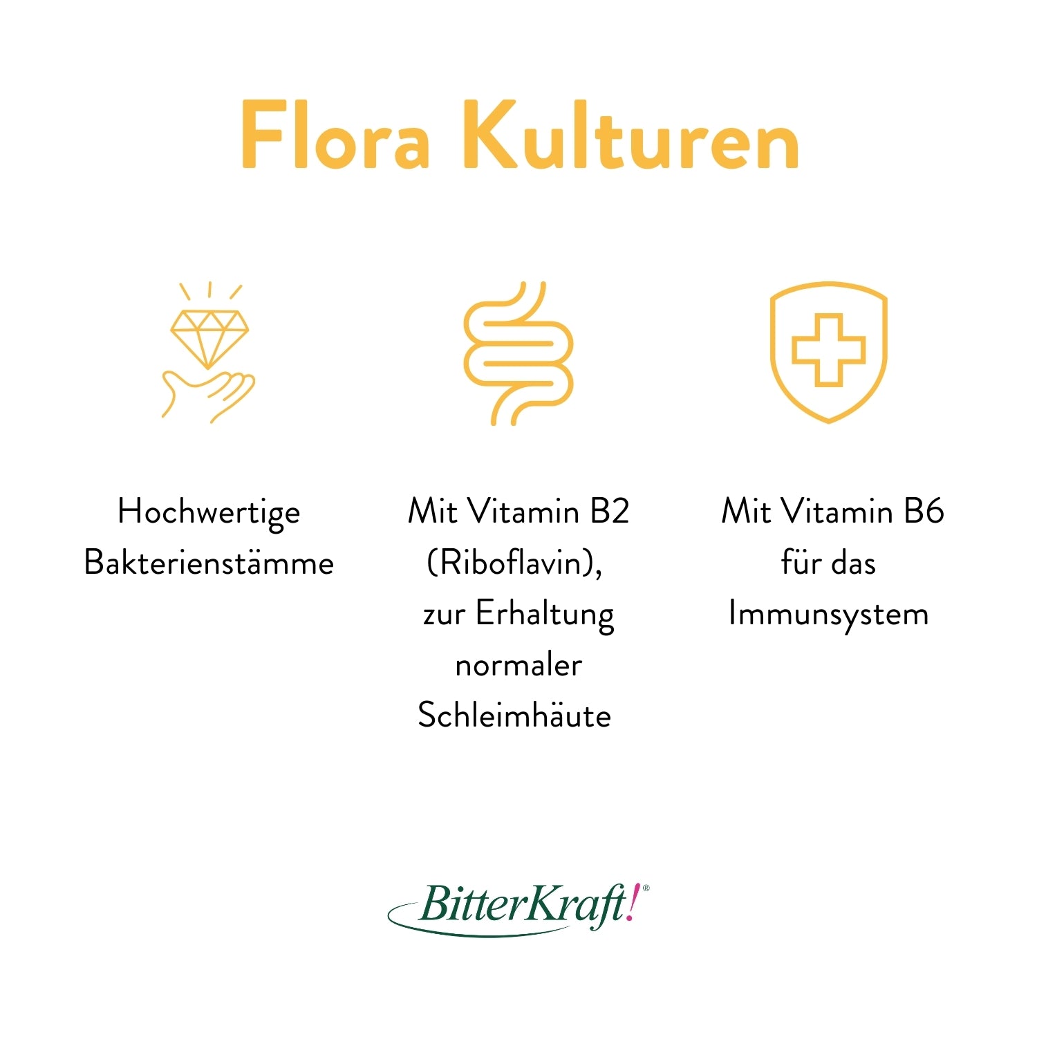 Flora Kulturen von Bitterkraft mit hochwertigen Bakterienstämmen, Vitamin B2 und Vitamin B6.
